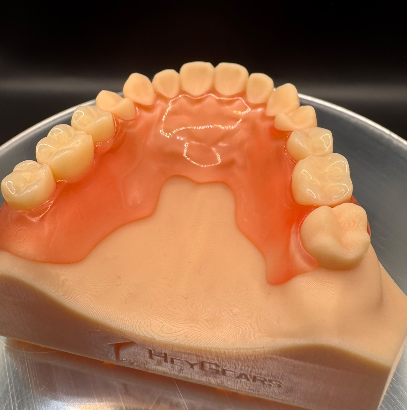 Close view of a pink partial denture and posterior replacement teeth on a dental model