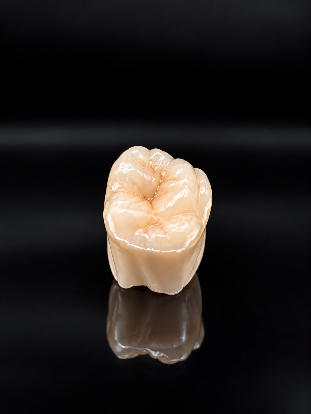 Single tooth-coloured crown photographed on a dark reflective surface